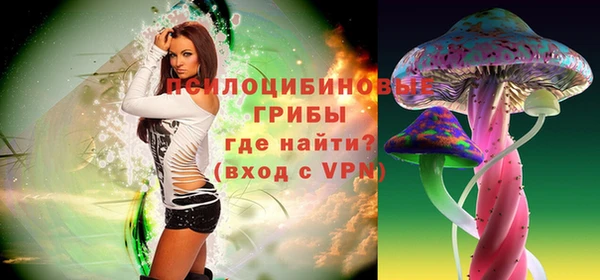 mdpv Вяземский