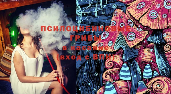 mdpv Вяземский
