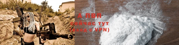 mdpv Вяземский
