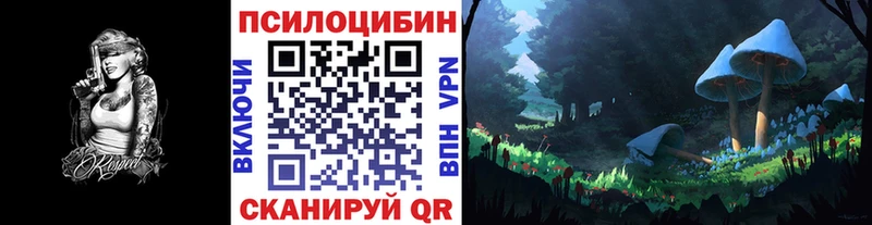 Галлюциногенные грибы Magic Shrooms  купить закладку  Плавск 